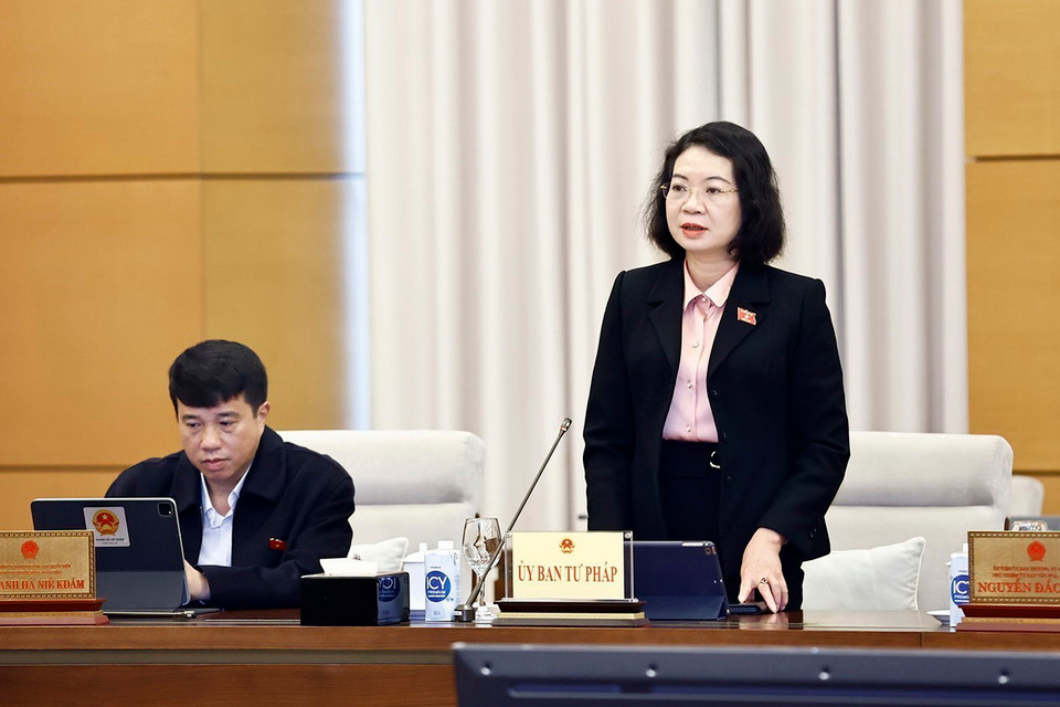 Phó Chủ nhiệm Ủy ban Tư pháp của Quốc hội Mai Thị Phương Hoa phát biểu. (Ảnh: Doãn Tấn/TTXVN)