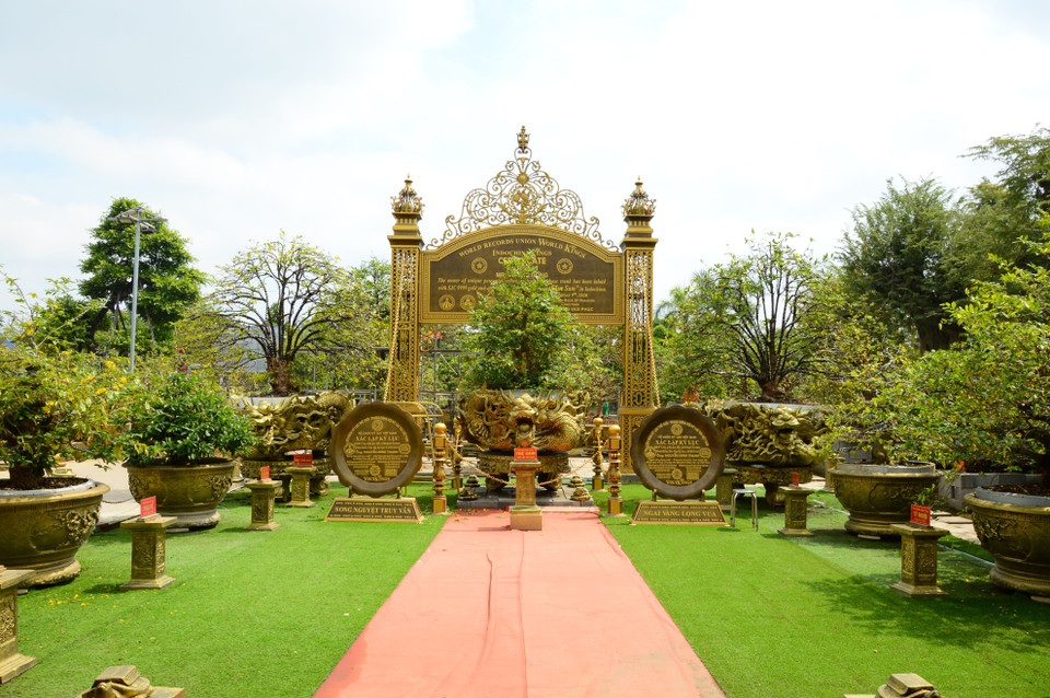 Bộ sưu tập những cây mai vàng độc đáo của ông Vũ Đức Đông được trưng bày tại Câu lạc bộ mai vàng thành phố Sa Đéc. (Ảnh: Nhựt An/TTXVN)