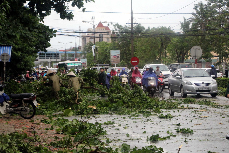Cây xanh đổ gãy chắn ngang đường khiến phương tiện tham gia giao thông gặp nhiều khó khăn, ảnh chụp lúc 7 giờ 30 phút sáng 17/7. (Ảnh: Tá Chuyên/TTXVN)