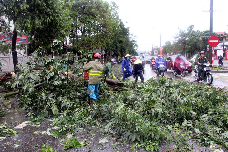 (Ảnh: Tá Chuyên/TTXVN)
