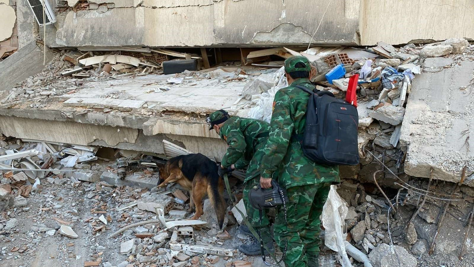Đoàn cứu hộ cứu nạn của Quân đội nhân dân Việt Nam sử dụng chó nghiệp vụ để tìm kiếm người mất tích tại tỉnh Hatay, Thổ Nhĩ Kỳ. (Ảnh: Văn Hiếu/TTXVN)
