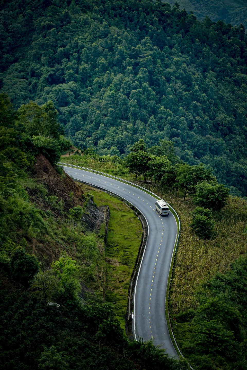 Những đường cong mềm mại trên đèo Pha Đin. (Ảnh: Xuân Tư/TTXVN)