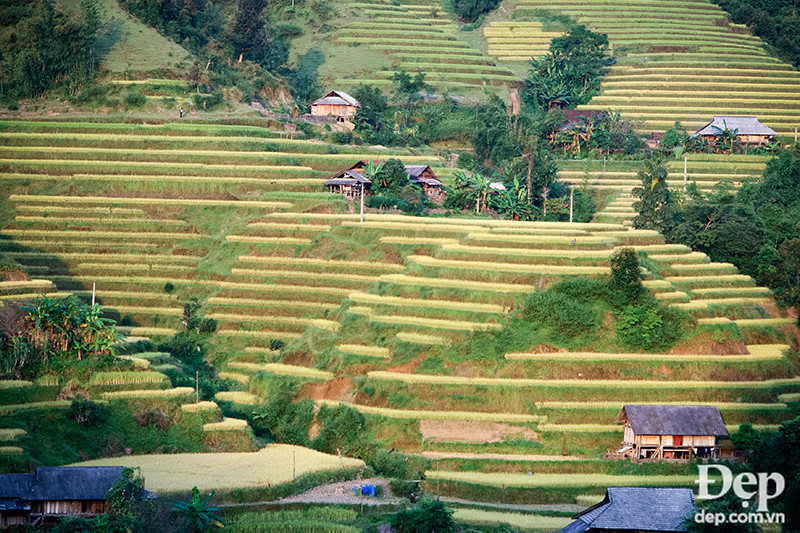 Mong cho những mùa vàng luôn nở rộ trên những cánh đồng miền sơn cước này.