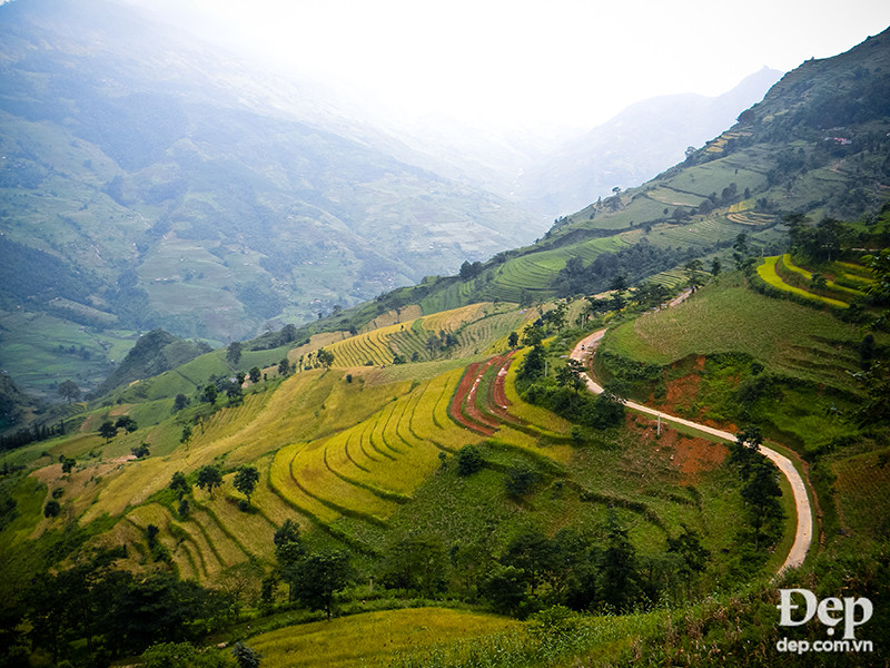 Con đường uốn mình qua sườn đồi đầy lúa vàng, mây vườn quanh chân người lữ khách.