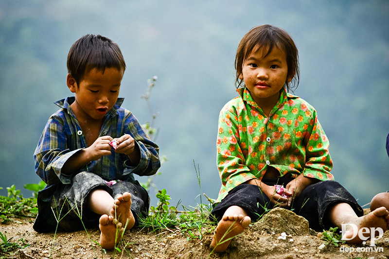 Lũ trẻ con hồn nhiên vô tư chơi đùa bên nương lúa khi bố mẹ gặt hái.