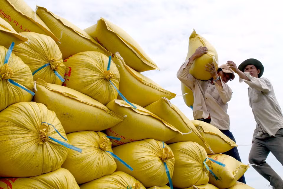Phát triển kinh tế bền vững theo đường lối độc lập, tự chủ là xây dựng nội lực để bảo vệ chủ quyền quốc gia, tạo môi trường hòa bình và an ninh để phát triển. Trong ảnh: Việt Nam vươn lên trở thành một trong những quốc gia xuất khẩu gạo hàng đầu của thế giới. (Ảnh: Duy Khương/TTXVN)