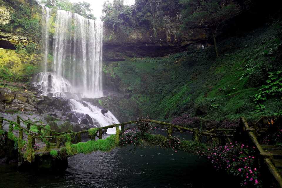Thác Đambri còn được người địa phương gọi là thác Bảy tầng hoặc thác Đợi chờ. Xung quanh thác Đambri là cả một thảm thực vật đa dạng và phong phú với các loài hoa đủ màu sắc thay phiên nhau bung nở quanh năm. (Ảnh: Huy Hùng/TTXVN)
