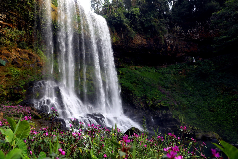 Xung quanh tháp Đambri luôn có các khóm hoa nở quanh năm tô điểm thêm cho vẻ đẹp nơi đây. (Ảnh: Huy Hùng/TTXVN)