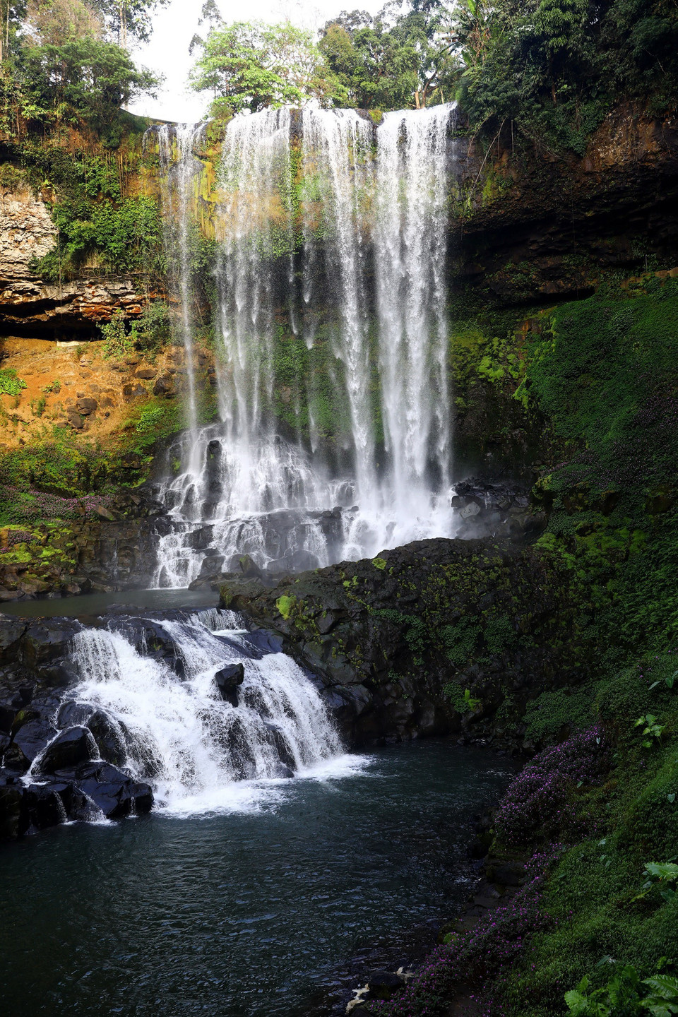 Thác Đambri có độ cao hơn 60m, mặt thác rộng gần 30m là một danh thắng nổi tiếng của tỉnh Lâm Đồng, nằm cách trung tâm thành phố Bảo Lộc khoảng 18km, được nhiều du khách lựa chọn là điểm đến đầu tiên cho hành trình khám phá cao nguyên Lâm Viên. (Ảnh: Huy Hùng/TTXVN)