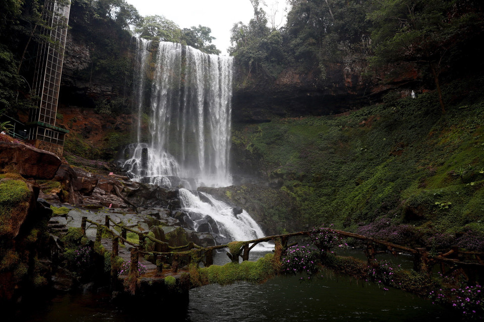 Thác nằm giữa khung cảnh rừng hoang sơ, hùng vĩ với nhiều loài thực vật quý. (Ảnh: Huy Hùng/TTXVN)