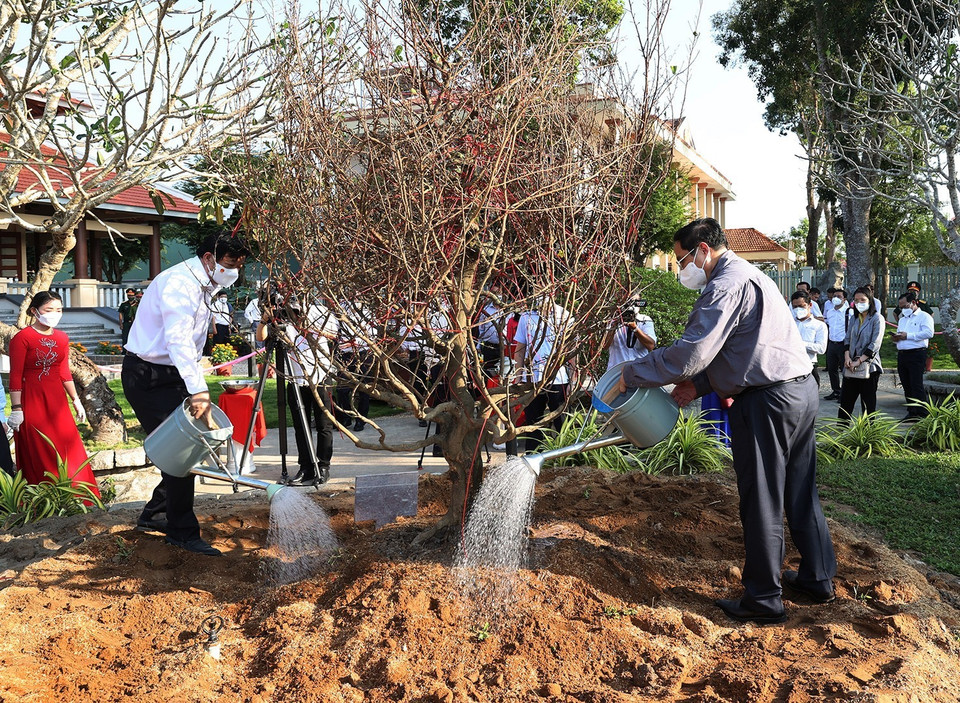 (Ảnh: Dương Giang/TTXVN)