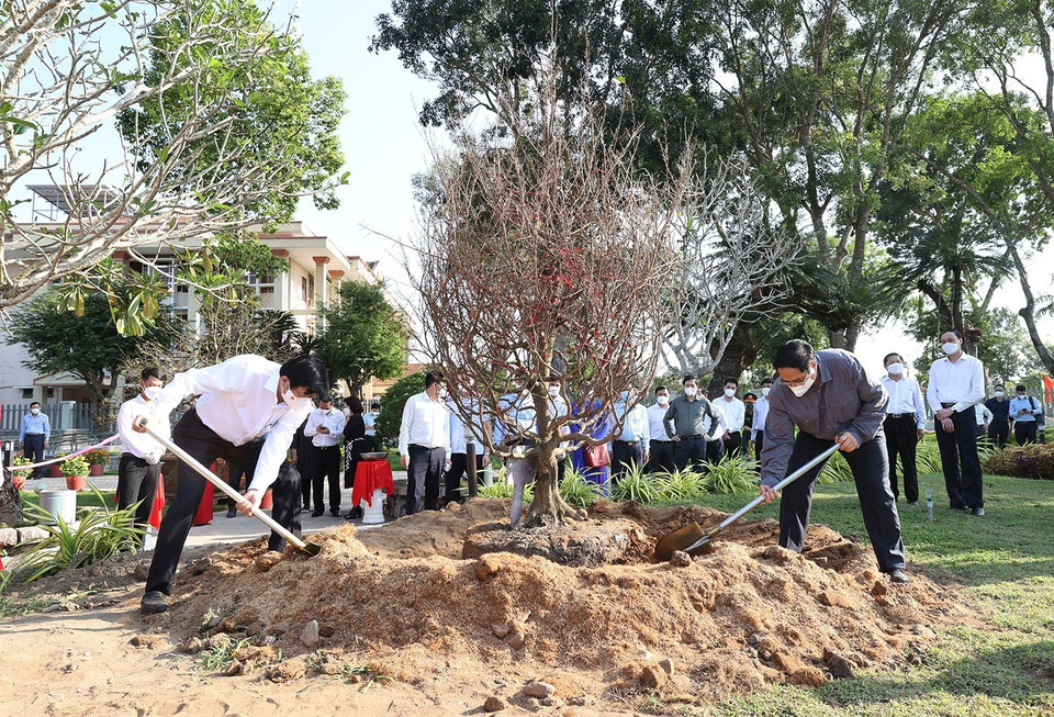 (Ảnh: Dương Giang/TTXVN)