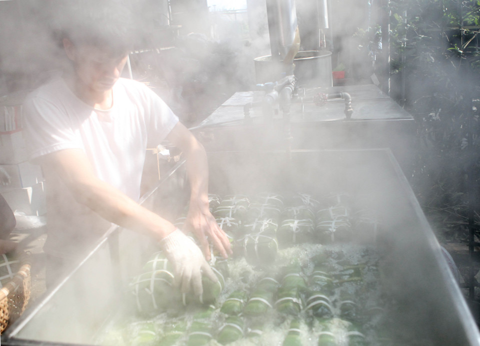 Bánh gói xong được luộc trong những chiếc thùng cỡ lớn. Trước đây, bánh chưng Tranh Khúc được luộc theo cách truyền thống là bếp củi hoặc than. Nay, nhiều nhà sử dụng bếp điện để luộc cho thuận tiện. (Ảnh: Trần Việt/TTXVN)