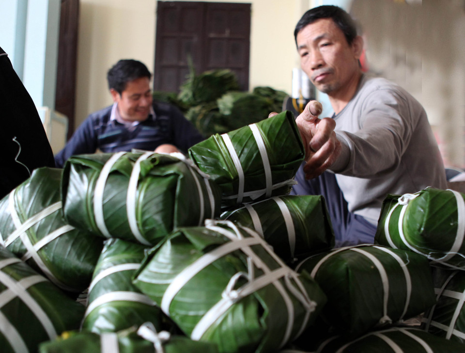 Nghề gói bánh chưng không những đem lại thu nhập ổn định cho người làng Tranh Khúc, mà còn tạo việc làm cho nhiều lao động đến từ các nơi khác. (Ảnh: Trần Việt/TTXVN)