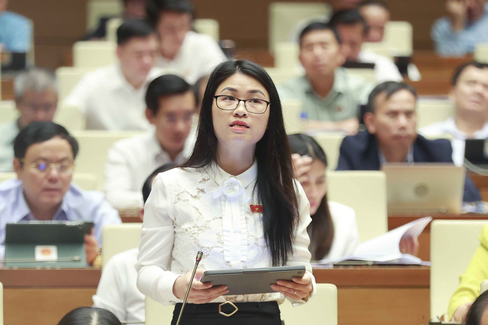 Đại biểu Quốc hội tỉnh Hải Dương Đinh Thị Ngọc Dung phát biểu ý kiến. (Ảnh: Doãn Tấn/TTXVN)