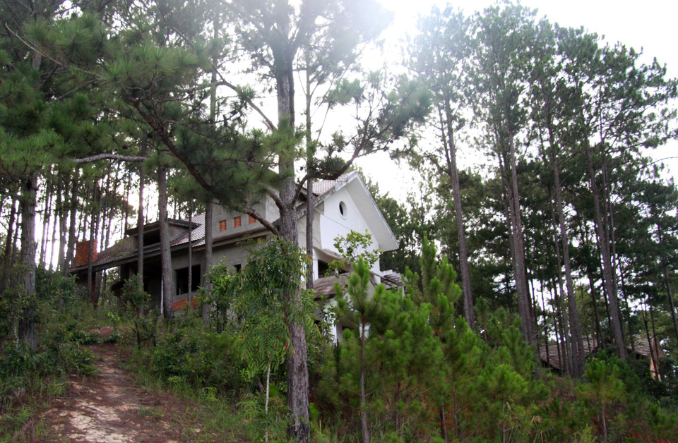 Đến nay, còn rất nhiều dự án không tiếp tục triển khai, hàng chục căn biệt thự kiến trúc kiểu Pháp cũng đang bị bỏ hoang, phát sinh nhiều vấn đề tệ nạn kèm theo. (Ảnh: Đặng Tuấn/TTXVN)