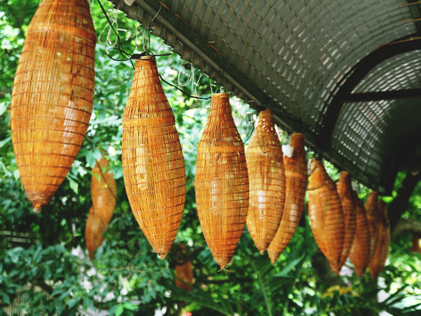 Nằm khuất khá sâu trong con phố mới tại khu đô thị Bắc Linh Đàm, quán Cafe Đó từ hơn một tháng nay đã trở thành điểm đến của không ít những người hoài cổ. Những súng đạn, áo bông kháng chiến, loa tàu thủy… từ khắp nơi bỗng chốc tụ lại, trở thành những hiện vật được bày biện ngay giữa quán, gợi nhắc về cuộc chiến tranh đã lùi xa mấy chục năm về trước. Chủ quán Cafe Đó, Vũ Văn Duy có tuổi đời trẻ hơn nhiều tất cả những hiện vật được trưng ra tại căn phòng chừng 40 m2 số 79 phố Đặng Xuân Bảng. Năm nay 34 tuổi, nhìn Duy không ai nghĩ anh có thú vui sưu tầm những thứ vốn thuộc về thế hệ trước, với rất nhiều dấu ấn đau thương nhưng chẳng kém phần oanh liệt.