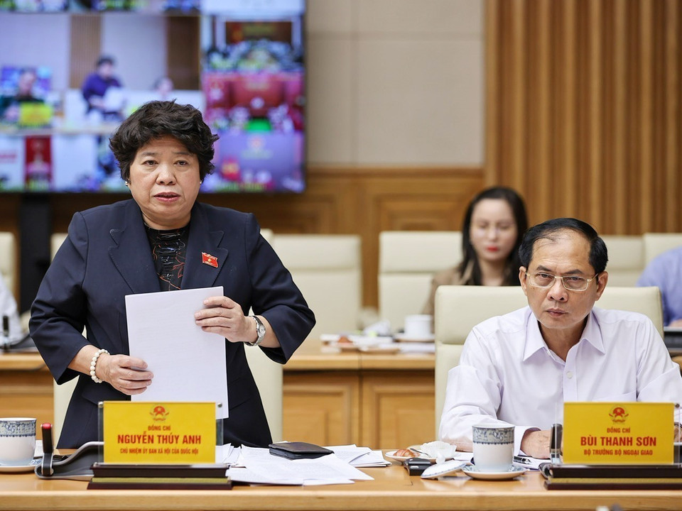 Chủ nhiệm Ủy ban Xã hội của Quốc hội Nguyễn Thúy Anh phát biểu. (Ảnh: Dương Giang/TTXVN)