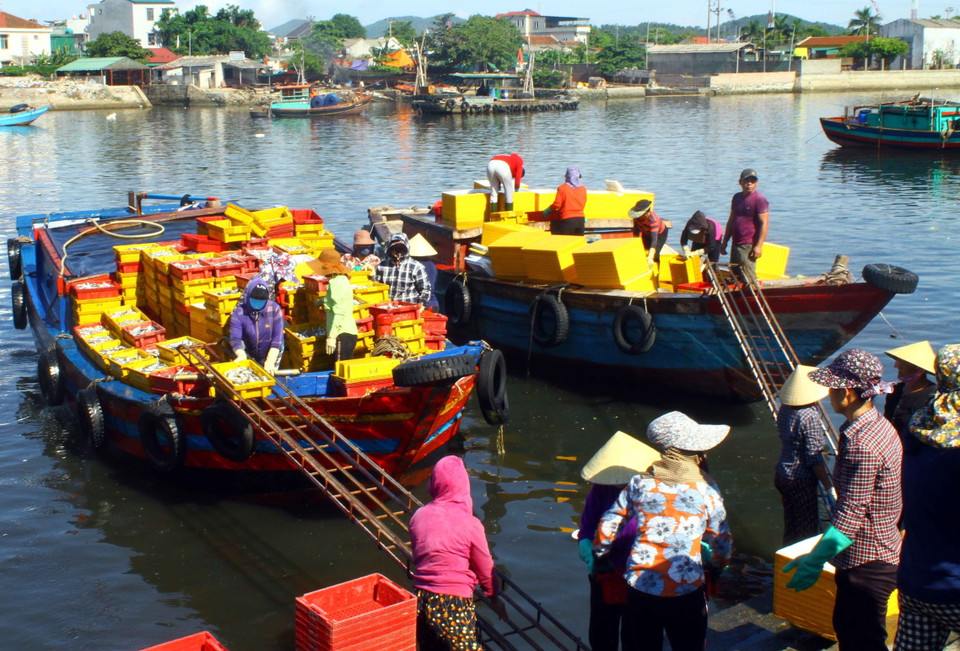 Rất đông người dân, cửu vạn vận chuyển, bốc xếp thủy hải sản lên bờ tại bến cá Nghi Thủy. (Ảnh: Tá Chuyên/TTXVN)