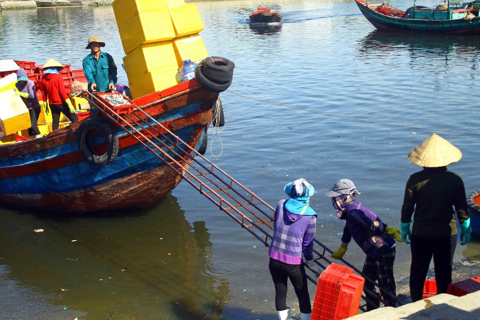 Rất đông người dân, cửu vạn vận chuyển, bốc xếp thủy hải sản lên bờ tại bến cá Nghi Thủy. (Ảnh: Tá Chuyên/TTXVN)