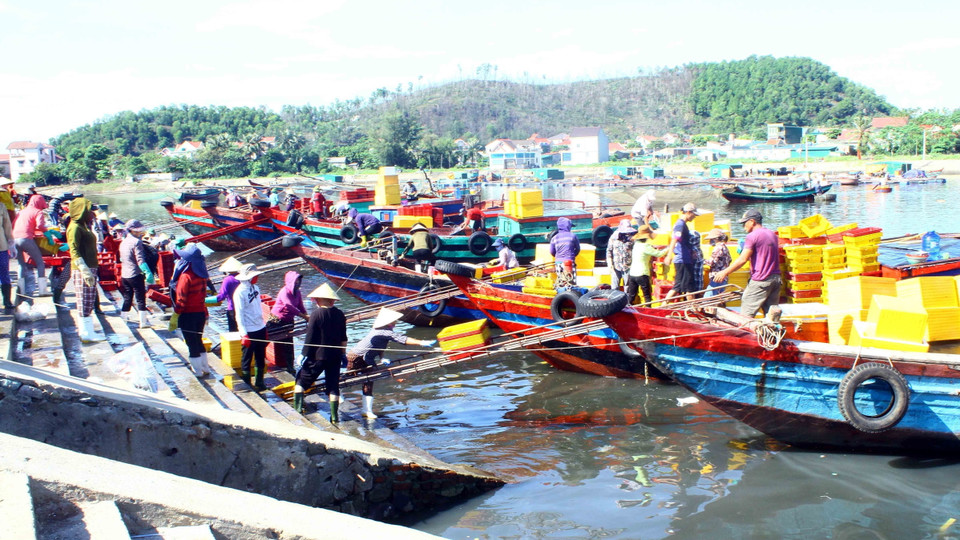 Từ sáng sớm, bến cá Nghi Thủy (phường Nghi Thủy, thị xã Cửa Lò, Nghệ An) đã tấp nập, khẩn trương trong việc vận chuyển và buôn bán, giao thương thủy hải sản vừa được các tàu đánh bắt về. (Ảnh: Tá Chuyên/TTXVN)
