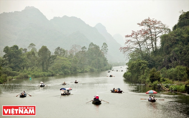 Những con thuyền đưa du khách ngắm nhìn vẻ đẹp của suối Yến. 