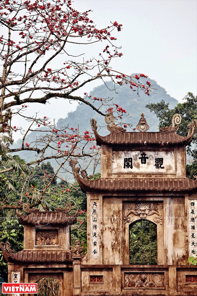 Những cây hoa gạo nở đỏ rực trên cổng vào của chùa Thiên Trù.