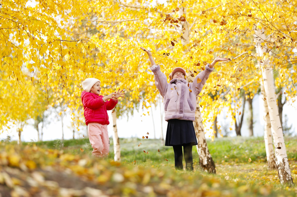 Lá nhuộm sắc vàng trong thời tiết Thu tại Astana, Kazakhstan. (Ảnh: THX/TTXVN)