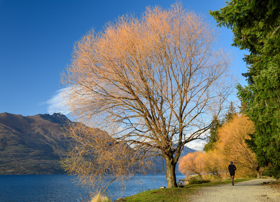 Bức tranh thiên nhiên tuyệt đẹp của mùa Thu tại Queenstown, New Zealand. (Ảnh: THX/TTXVN)
