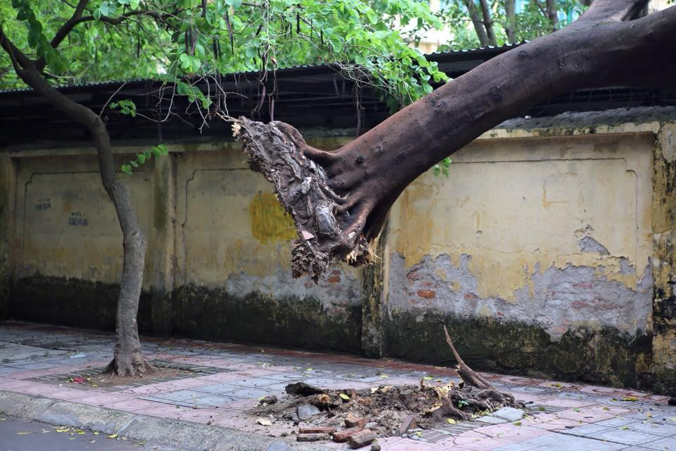 Rất may, không có thiệt hại về người trong vụ việc. (Ảnh: Minh Sơn/Vietnam+)