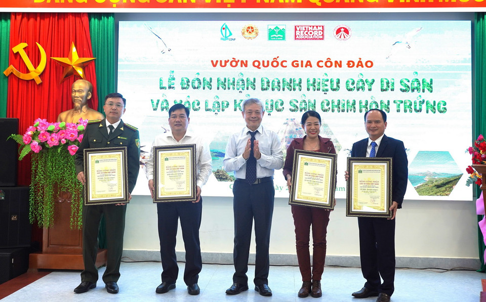 Nhà báo Phùng Quang Chính, Ủy viên Thường vụ Hội Bảo vệ thiên nhiên và Môi trường Việt Nam, Phó Chủ tịch Hội đồng Cây Di sản Việt Nam trao chứng nhận Cây Di sản cho đại diện lãnh đạo UBND huyện Côn Đảo và lãnh đạo Ban quản lý Vườn Quốc gia Côn Đảo. (Ảnh: Huỳnh Sơn/TTXVN)