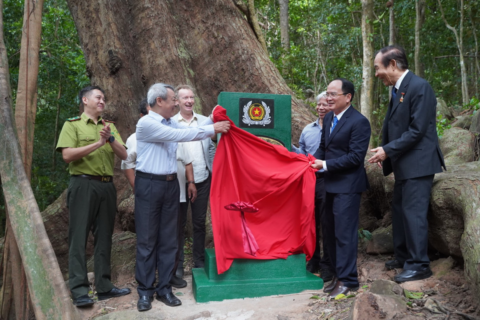 Các đại biểu khánh thành cột mốc Cây Di sản tại cây Sao đen tiểu khu 58, Vườn Quốc gia Côn Đảo. (Ảnh: Huỳnh Sơn/TTXVN)