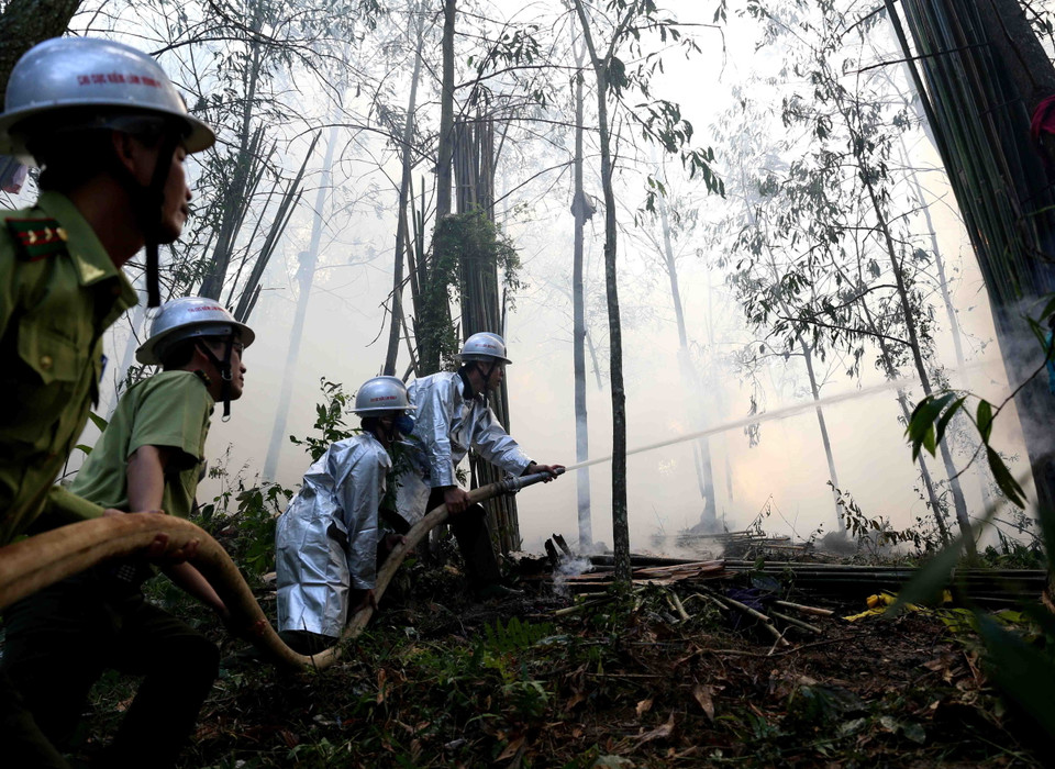 Các lực lượng tham gia chữa cháy rừng. (Ảnh: Vũ Sinh/TTXVN)