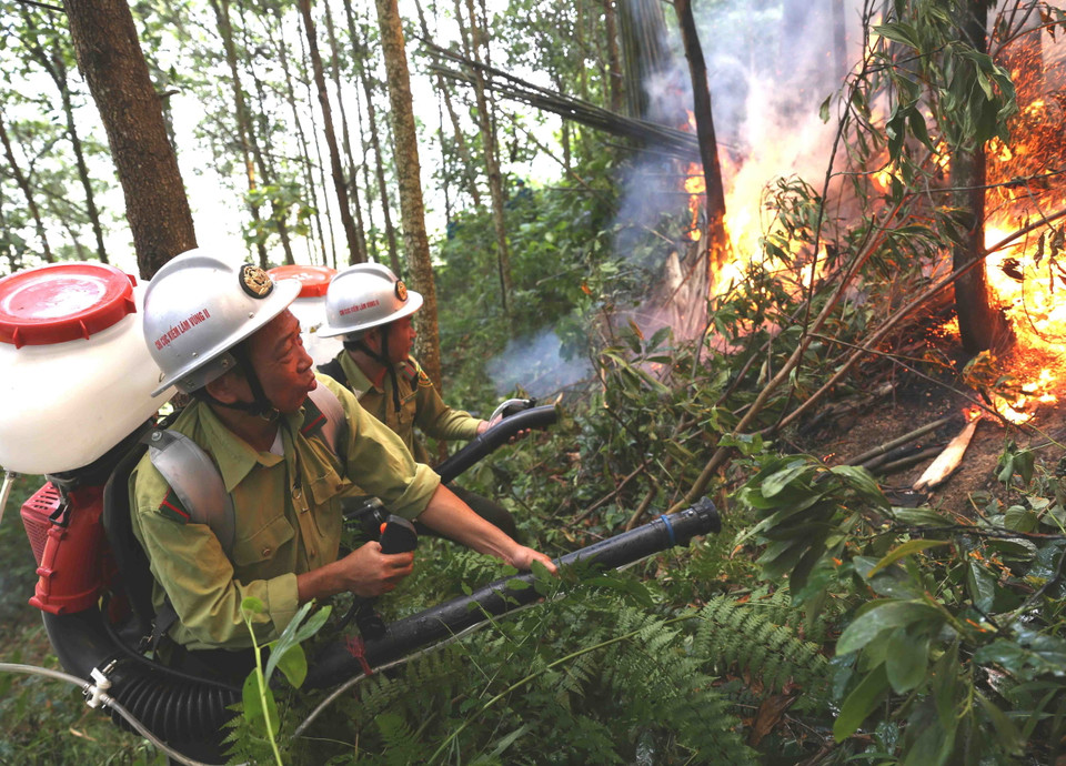 Lực lượng Kiểm lâm tham gia chữa cháy. (Ảnh: Vũ Sinh/TTXVN)