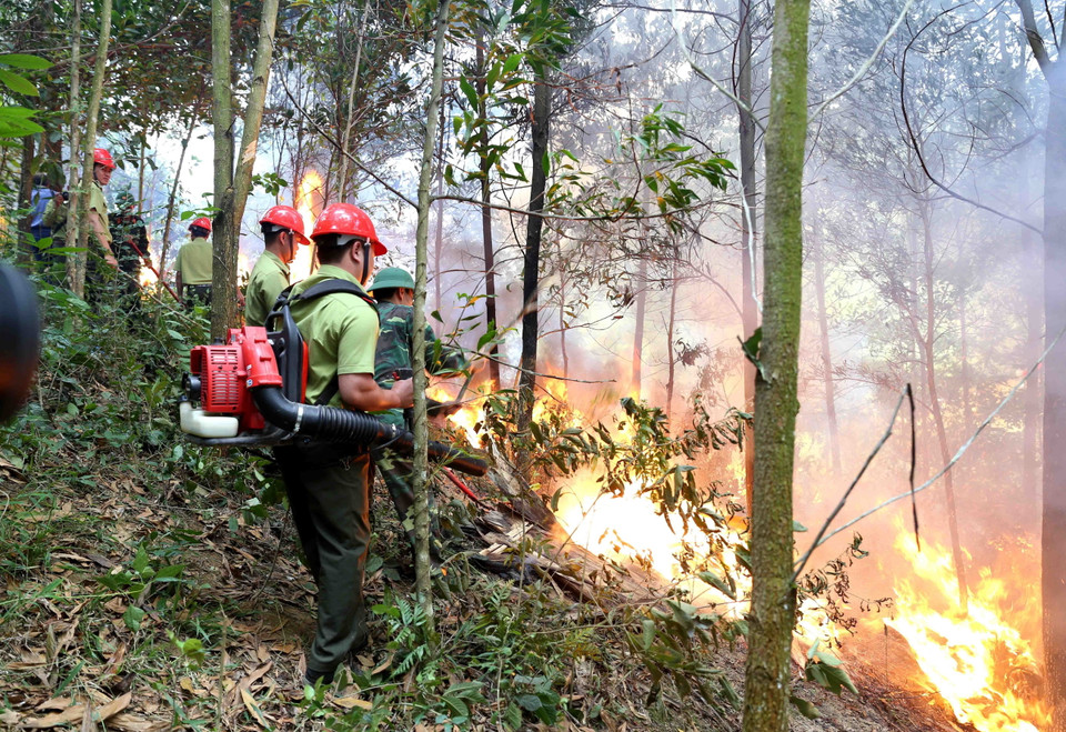 Các lực lượng tham gia chữa cháy rừng. (Ảnh: Vũ Sinh/TTXVN)