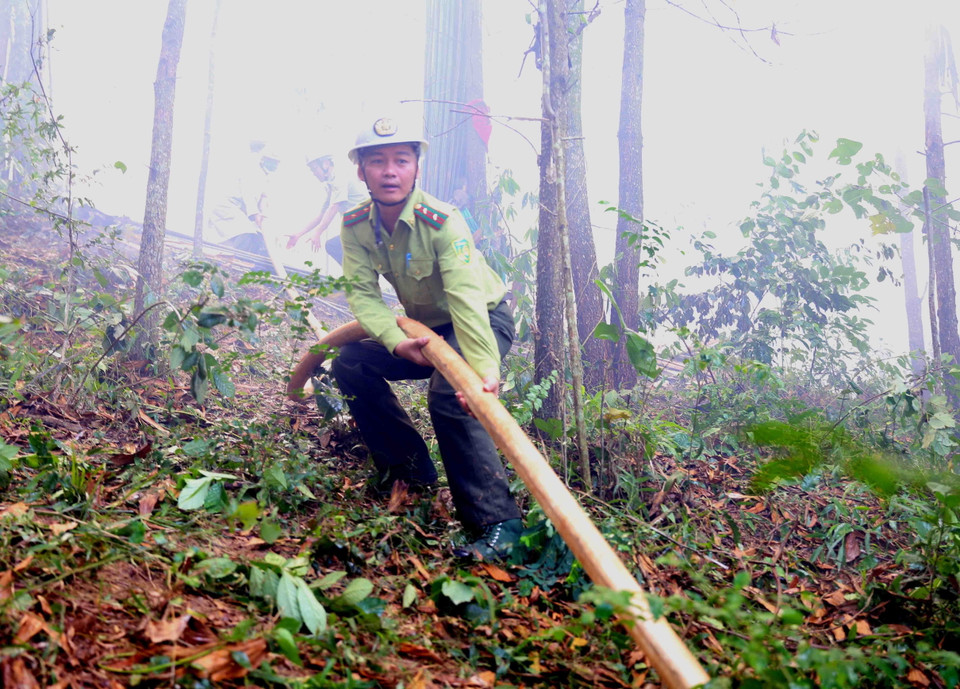 Lực lượng Kiểm lâm tham gia chữa cháy. (Ảnh: Vũ Sinh/TTXVN)