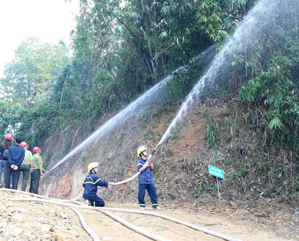 Các lực lượng tham gia chữa cháy rừng. (Ảnh: Vũ Sinh/TTXVN)