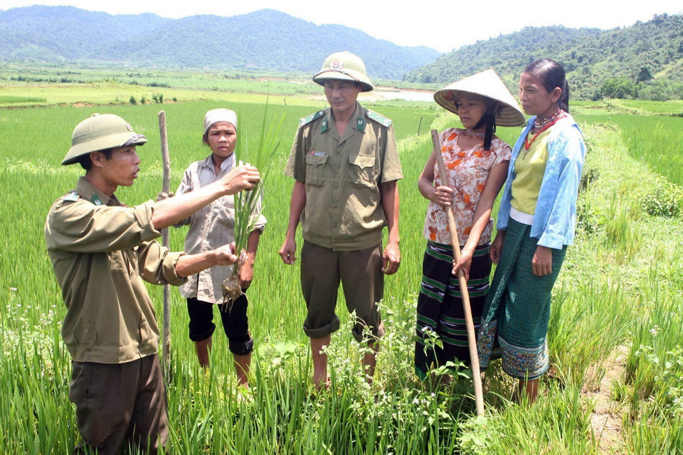 ''Vì nhân dân mà chiến đấu'' được thể hiện trong việc thực hiện tốt chức năng, nhiệm vụ đội quân lao động sản xuất, góp phần nâng cao đời sống vật chất, tinh thần của các tầng lớp nhân dân. Trong ảnh: Bộ đội Biên phòng Hà Tĩnh hướng dẫn đồng bào Chứt kỹ thuật cấy lúa nước. (Ảnh: Hà Thái/TTXVN)