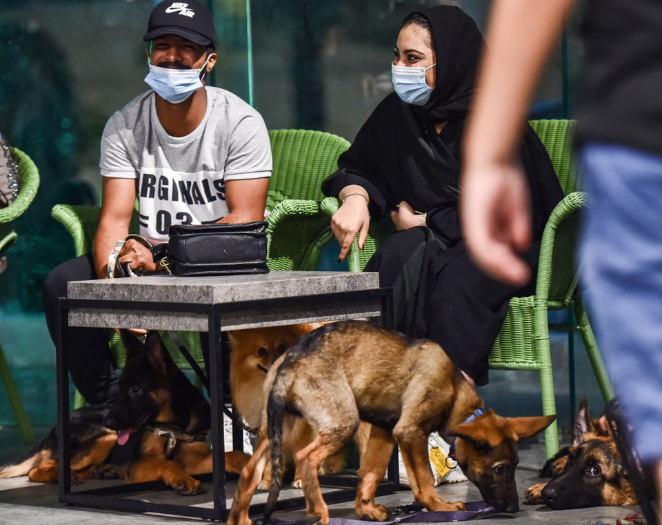 Người dân đưa những chú chó tới quán càphê ''The Barking Lot'' tại thành phố Khobar, Saudi Arabia, ngày 25/9/2020. (Ảnh: AFP/ TTXVN)