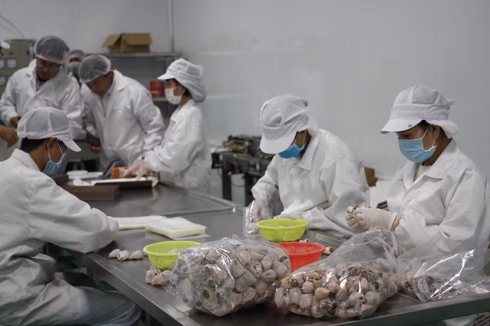 Công đoạn đóng gói sản phẩm. (Ảnh: Đặng Tuấn/TTXVN)