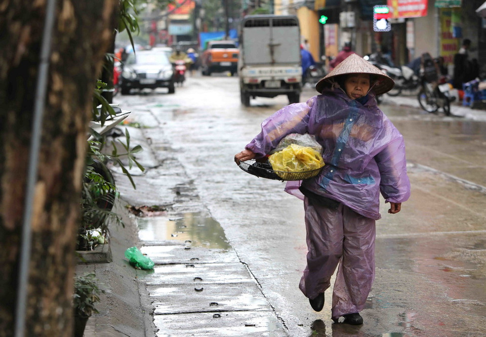 (Ảnh: Thành Đạt/TTXVN)