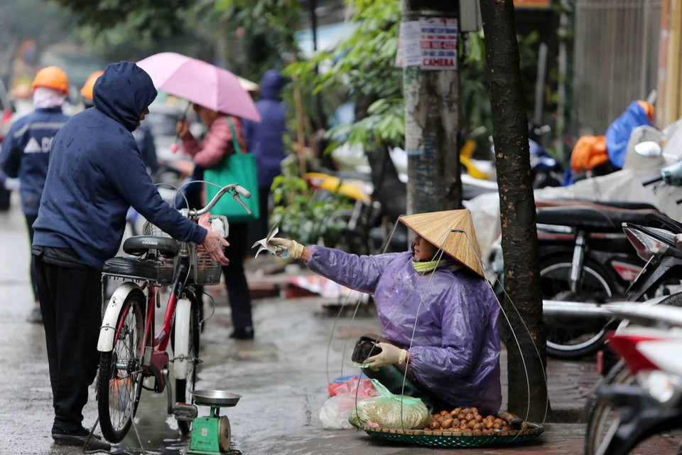 (Ảnh: Thành Đạt/TTXVN)