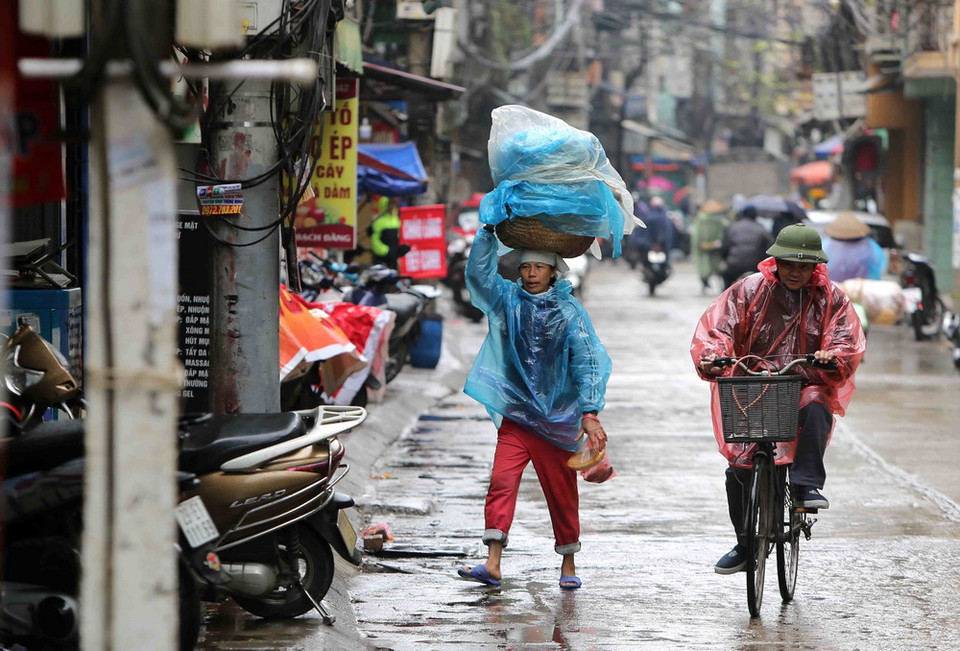 (Ảnh: Thành Đạt/TTXVN)