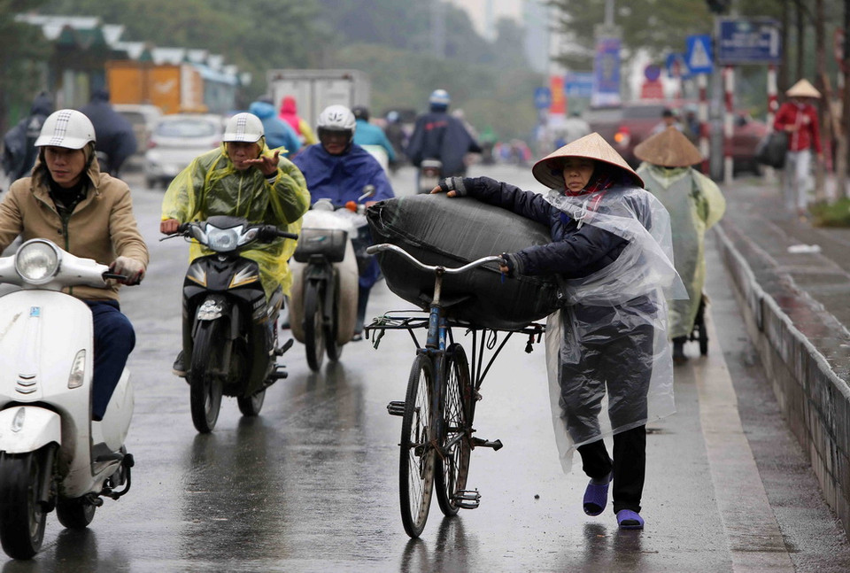 (Ảnh: Thành Đạt/TTXVN)