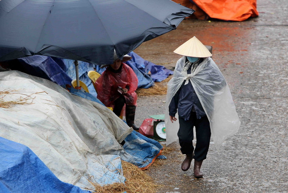 (Ảnh: Thành Đạt/TTXVN)