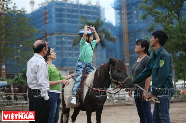 Bé Minh Tùng (Hà Nội) bị bệnh bại não được trị liệu miễn phí tại Câu lạc bộ Ngựa Hà Nội. Sau vài buổi tập, bé đã tự tin đứng thẳng, giơ hai tay trên lưng ngựa. (Ảnh: Công Đạt)