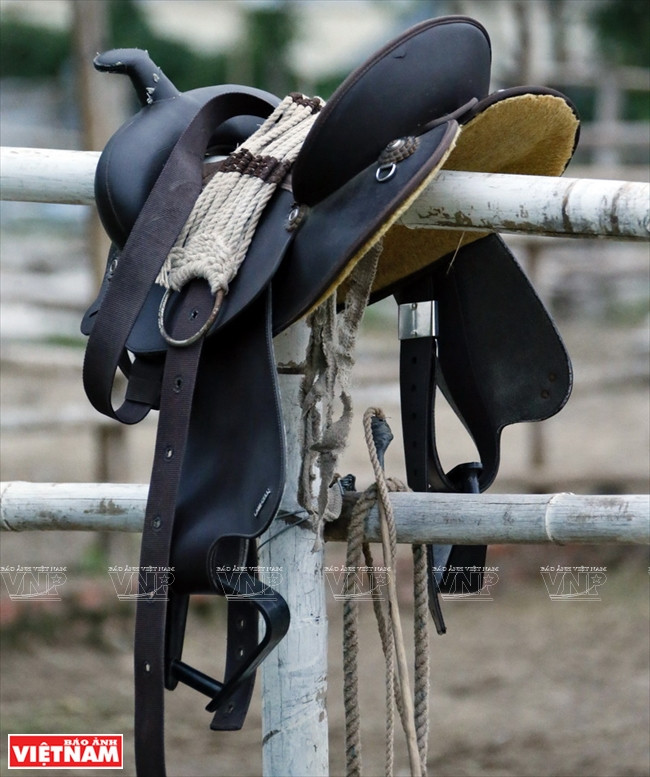 Những chiếc yên ngựa sẽ được lắp lên mình ngựa khi các bé đã sẵn sàng. (Ảnh: Hoàng Quang Hà)