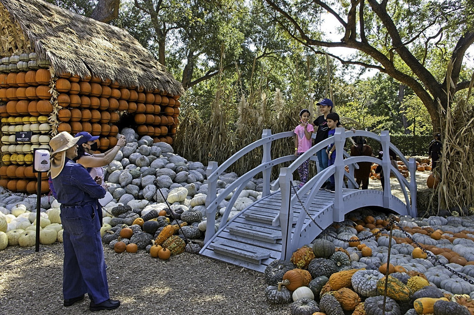 Du khách chụp ảnh tại ngôi làng bí ngô cổ tích Arboretum, Dallas, Texas, Mỹ ngày 4/10/2020. (Ảnh: THX/TTXVN)