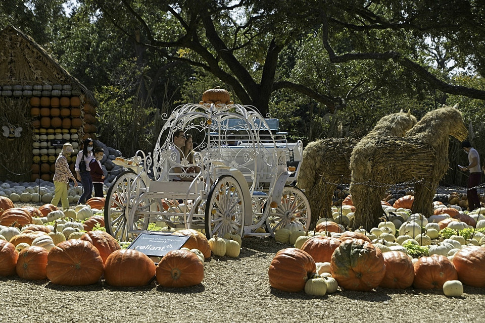 Du khách chụp ảnh tại ngôi làng bí ngô cổ tích Arboretum, Dallas, Texas, Mỹ ngày 4/10/2020. (Ảnh: THX/TTXVN)