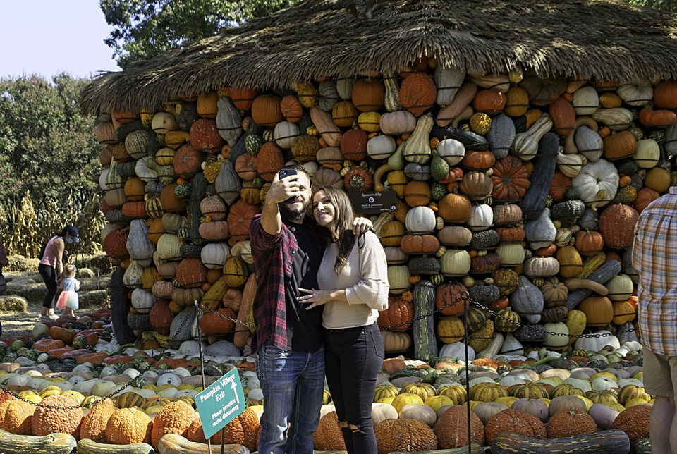 Du khách tham quan ngôi làng bí ngô cổ tích Arboretum tại Dallas, Texas, Mỹ ngày 4/10/2020. (Ảnh: THX/TTXVN)